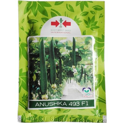 SpongeGourd / Galki Anushka 493 F1