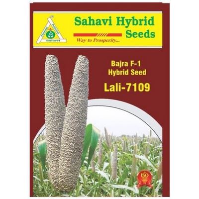 PearlMillet / Bajra Lali-7109 1.5 Kg