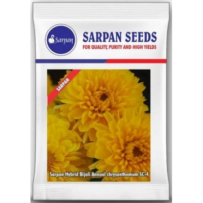 Chrysanthamum Sarpan Bijali Yellow SC-4