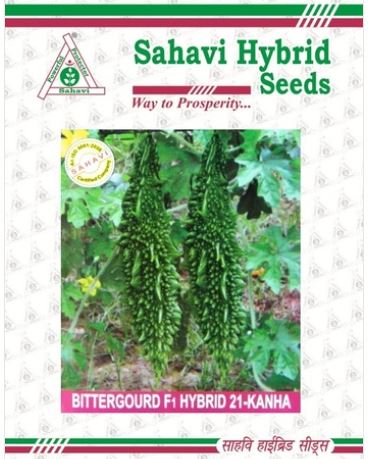 Bittergourd / Karela Hybrid 21-Kanha