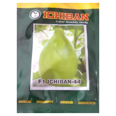 BottleGourd / Lauki Ichiban 44 (Shine)
