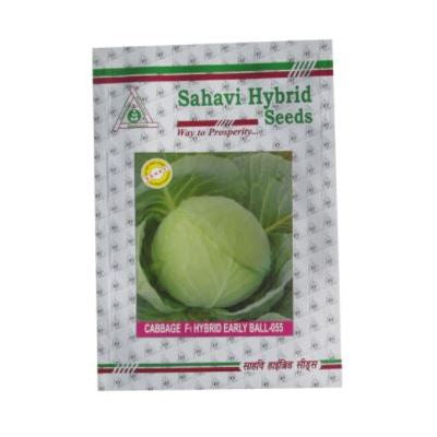Cabbage / Patta Gobi Early Ball-055