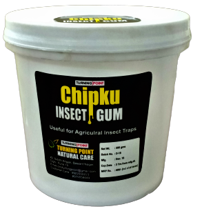 Chipku Insect Gum