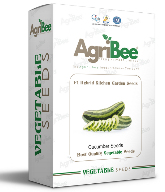 AgriBee F1 Cucumber Seeds