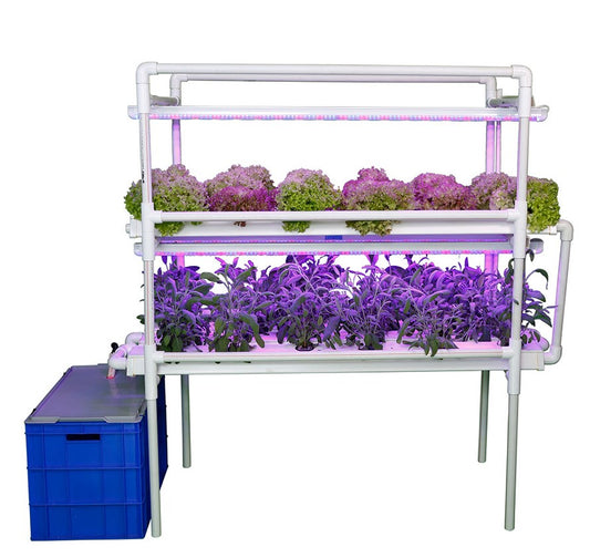 Higro Vertical NFT 36 Planter