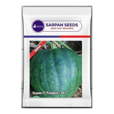 Pumpkin / Kaddoo Sarpan-901
