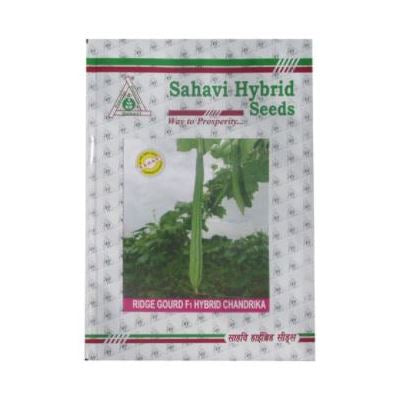 RidgeGourd / Turai Chandrika