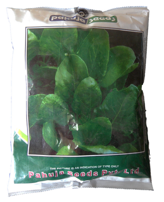 Spinach / Palak Pahuja Delhi Green
