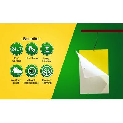 Chipku Yellow Sticky Glue Trap for Insect