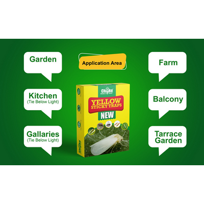 Chipku Yellow Sticky Glue Trap for Insect