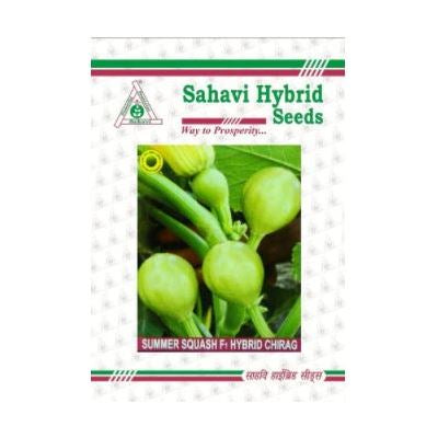 Summer Squash Chirag