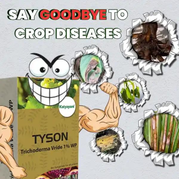 Katyayani Tyson - Trichoderma Viride | Bio Fungicide